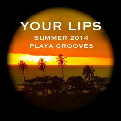 Summer 2014 Playa Grooves