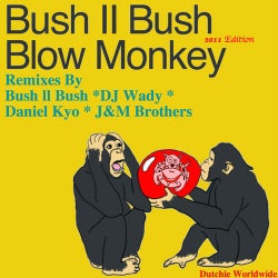 Blow Monkey 2011