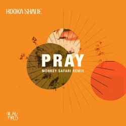Pray (Monkey Safari Remix)