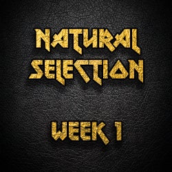 Natural Selection - Week 1