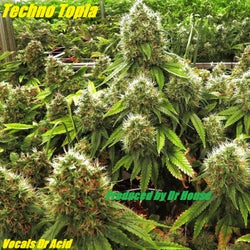 Techno Topia