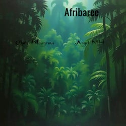 Afribaree