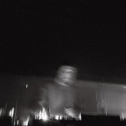 Meaner Than A Junkyard Dog