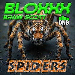 Spiders