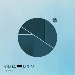 The Vibe (Extended Version)