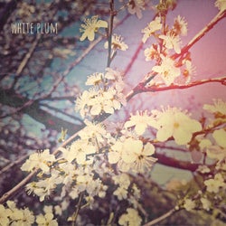 white plum