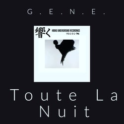 Toute La Nuit