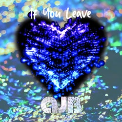 If You Leave - Radio Mix