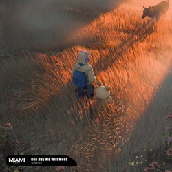 One Day We Will Meet