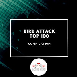 Bird Attack Top 100