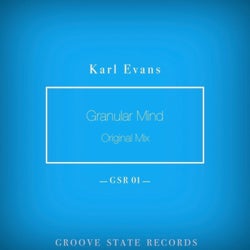 Granular Mind