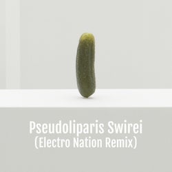 Pseudoliparis Swirei