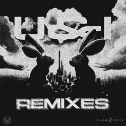 U & I Remixes
