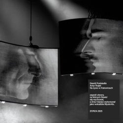 Dawid Podsiadło i Artur Rojek na żywo w Katowicach - ZORZA 2025