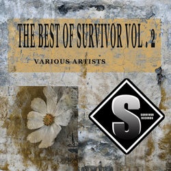 The Best Of Survivor, Vol. 2