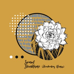 Steinblume (Incl. Headwaters Remix)