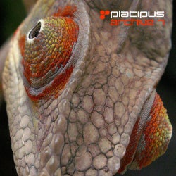 Platipus - Archive 7