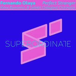 Perfect Stranger ( the Remixes )