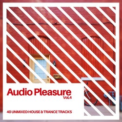 Audio Pleasure Vol.4 (Radio Edits)