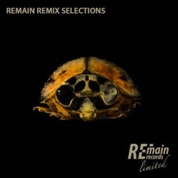 Remain Remix Selections