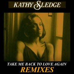 Take Me Back To Love (Remixes)