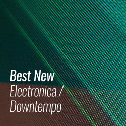 Best New Electronica/Downtempo: November