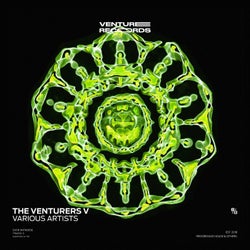 The Venturers V