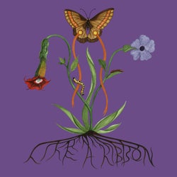 Like A Ribbon - Deluxe