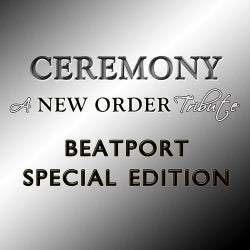 A New Order Tribute: Beatport Special Edition