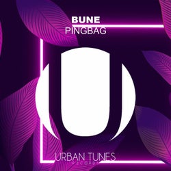 Pingbag (Club Mix)