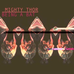 Being a Bat