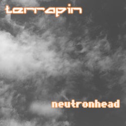 Neutronhead