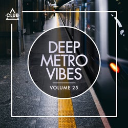 Deep Metro Vibes Vol. 25