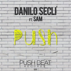 Push (feat. Sam)