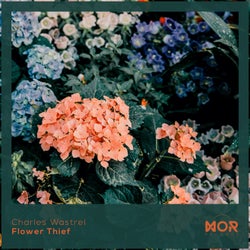 Flower Thief