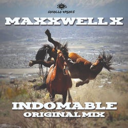 Indomable (Original Mix)