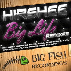 Big Life Remixes