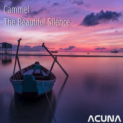 The Beautiful Silence