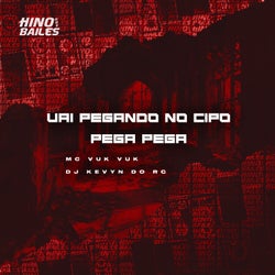 Vai Pegando no Cipó - Pega Pega