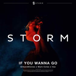 If you wanna go (Extended Mix)