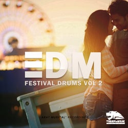 EDM Festival Drums, Vol. 2 (Tools)