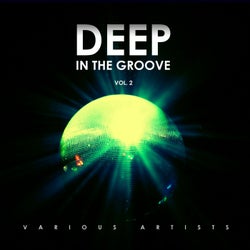 Deep in the Groove, Vol. 2