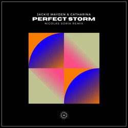 Perfect Storm (Nicolas Soria Remix)