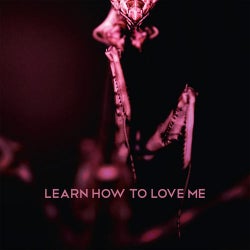 Learn How To Love Me
