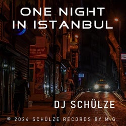 One Night in Istanbul