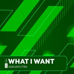 What I Want (Extended Mixes)