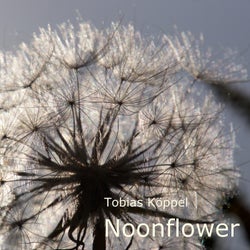 Noonflower
