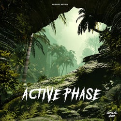 Active Phase