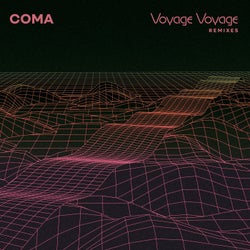 Voyage Voyage Remixes