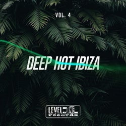 Deep Hot Ibiza, Vol. 4